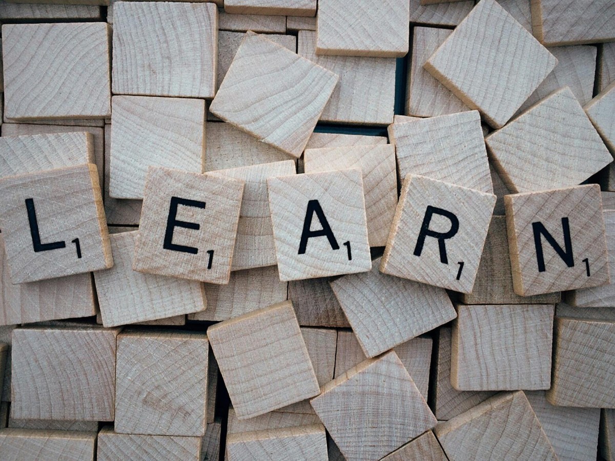 The Joy of Lifelong&nbsp;Learning